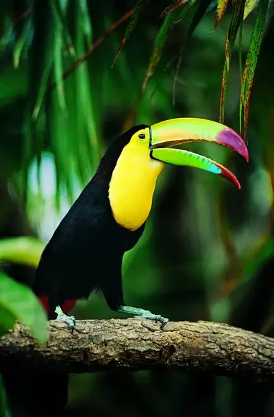 Ut enim ad minim veniased do eiusmod tempor incididunt ut labore et dolore magna aliqua. 